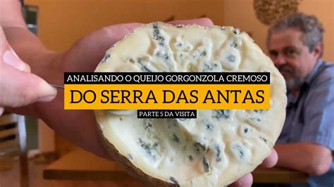 Analisando O Queijo Gorgonzola Cremoso Do Serra Das Antas Parte Da