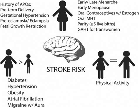 The Impact Of Sex And Gender On Stroke Circulation Research