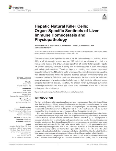 Pdf Hepatic Natural Killer Cells Organ Specific Sentinels Of Liver