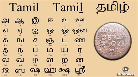 Indian Tamil Language