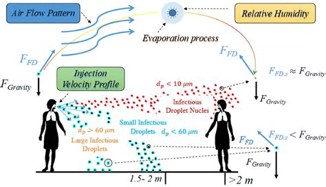 A Schematic Of The Fate Of Droplets Produced By Human Respiratory