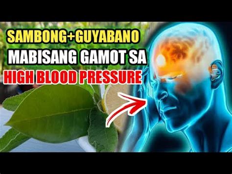 Benepisyo Ng Sambong Sa High Blood Pressure Paano Gawin Youtube