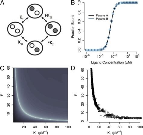 Parameter Estimation For A Two Site Cooperative Binding Model A