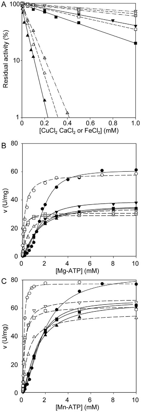 Inhibition Of Mtbprppase By Divalent Cations A Response Of Prppase