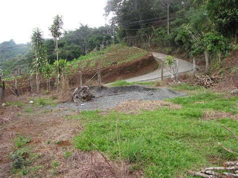 Se Vende Finca Para Urbanizar Y Hacer Quintas En Vuelta De Jorco De