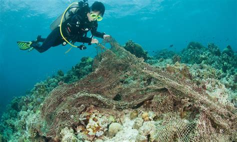 Our Oceans Are Haunted By Ghost Nets Why Thats Scary And What We Can