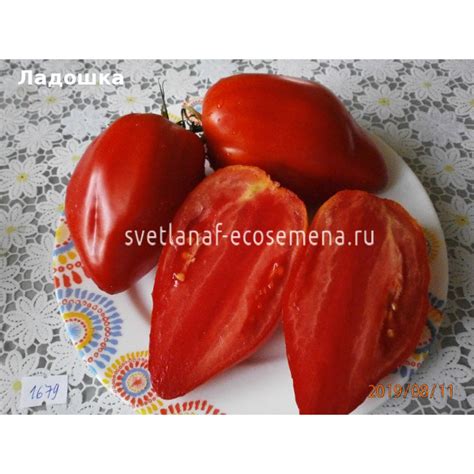 Ладошка