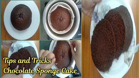 How To Make Soft Chocolate Sponge Cake Chocolate Sponge Cake Recipe