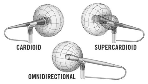 Cardioid Vs Supercardioid Mic The Key Differences Explained