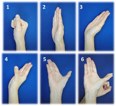 CTS Median Nerve Glide Wrist in neutral, make a fist Wrist in neutral ...