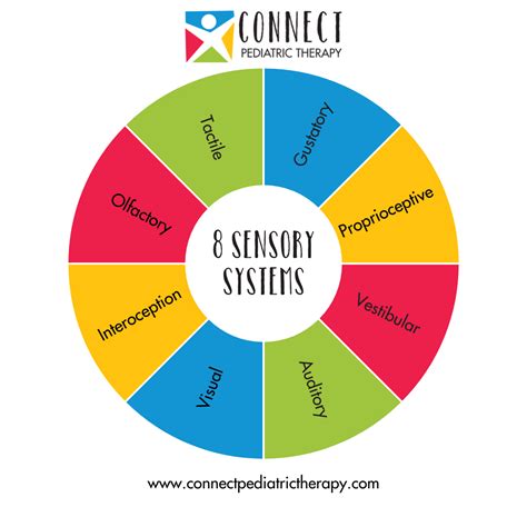 Eight Senses Not Five Connect Pediatric Occupational Therapy