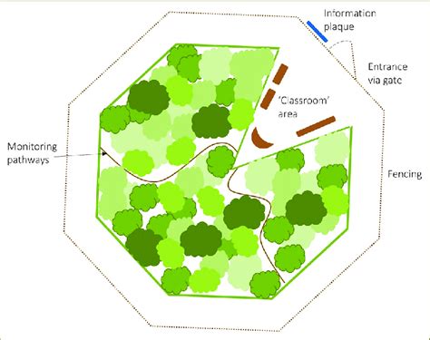 Tiny Forest example case. Witney Tiny Forest design. | Download ...