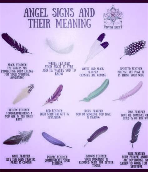 Native American Feathers Meanings