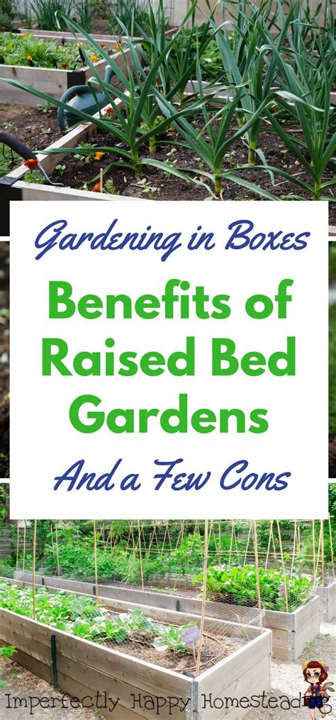 Raised Garden Bed Benefits Imperfectly Happy Vegetable Garden