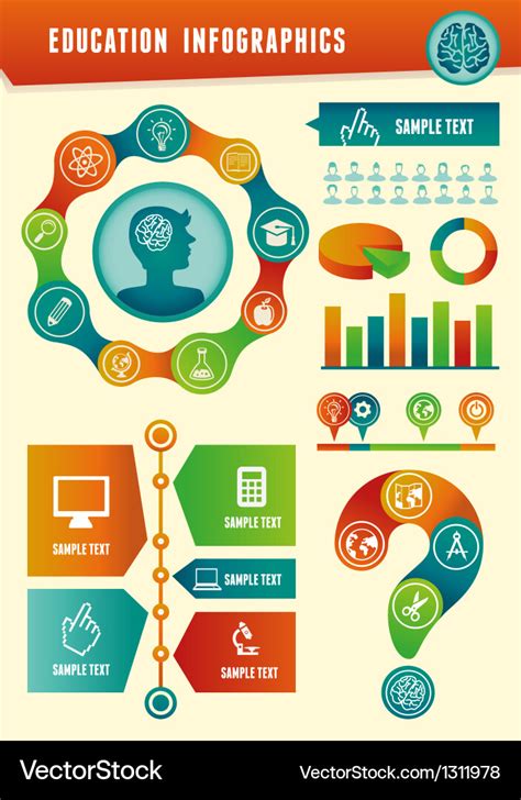 Education infographics Royalty Free Vector Image