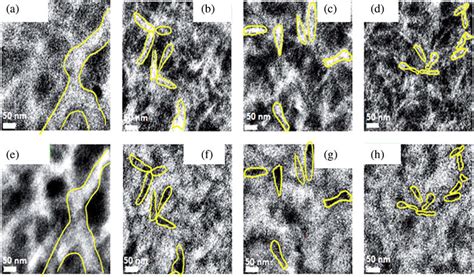 A To D Energy Field Transmission Electron Microscopy Eftem