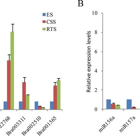 Qrt Pcr Validation Of Degs And Dems From High Throughput Sequencing