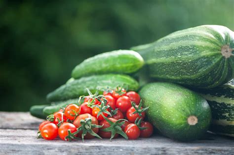 Zucchini vs. Cucumber: What's the Difference? - Minneopa Orchards