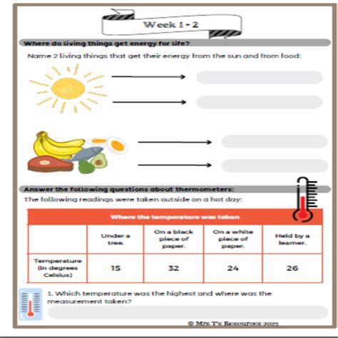 Grade 4 NST Term 3 Worksheets Teacha