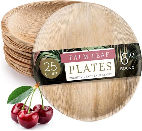 Brheez Palm Leaf Plates Ct Inch Eco Friendly Compostable