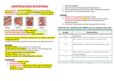 Obstrucción Intestinal OBSTRUCCIÓN INTESTINAL Intestino delgado 1era