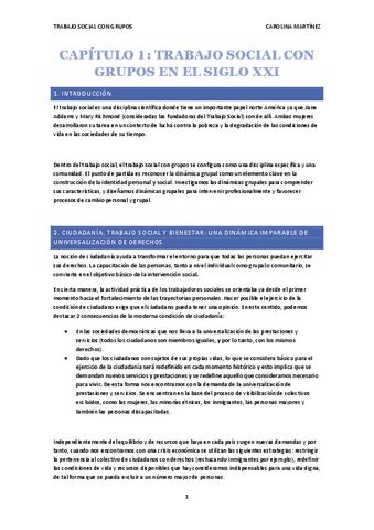 Tema 1 teoría del Trabajo social con grupos pdf