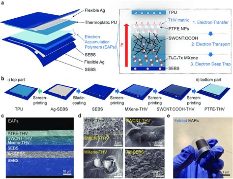 Design Of Sustainable Wearable TENG Based On EAPs A Schematic Image