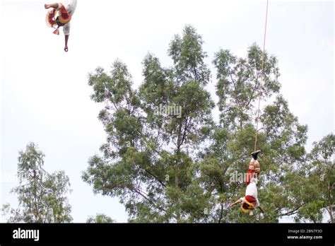 'Danza de Los Voladores', Ritual Ceremony of the Voladores, Cultural Tradition of the Totonac ...