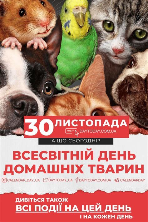ᐉ 30 листопада - яке сьогодні свято чи подія? - DAY TODAY | Poster ...