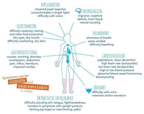 Dysautonomia Causes Symptoms And Treatments The Dysautonomia Project