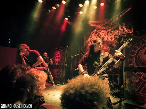 Cryptopsy - the Metal Purists - The Next Crossing