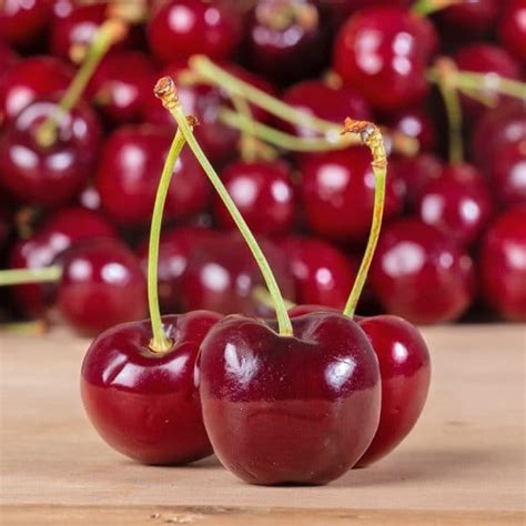 international cherry symposium  bring  cream   worlds cherry