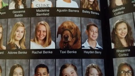 Loyal Service Dog Gets His Own Photo In His Human's 7th Grade Yearbook