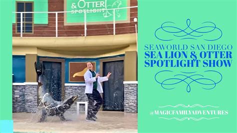 Front Row Sea Lion And Otter Spotlight Show At Seaworld San Diego