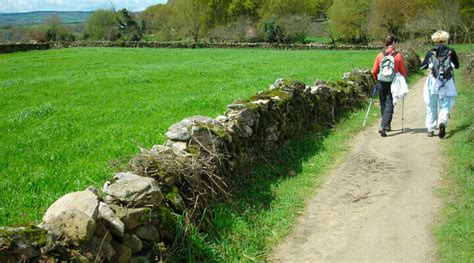 Descubre las etapas del Camino de Santiago desde Logroño a Burgos una