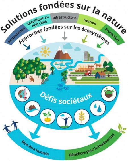 Les Solutions Fondées sur la Nature Initiative Kiwa