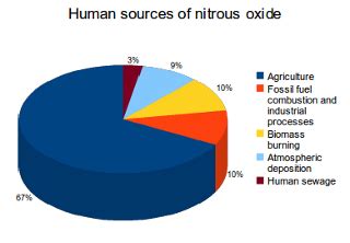 Main sources of nitrous oxide emissions | What's Your Impact