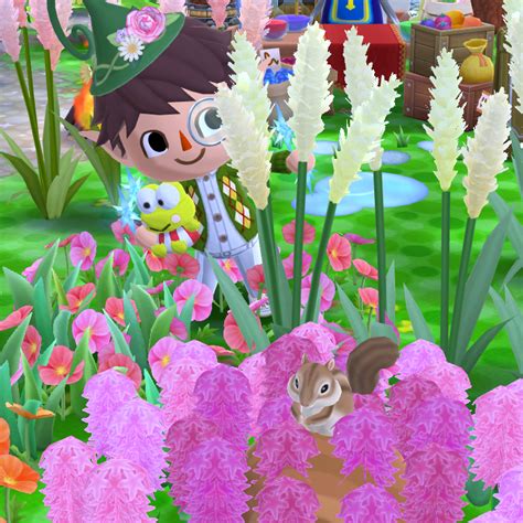 Look what I found hidden in the woods! : r/ACPocketCamp