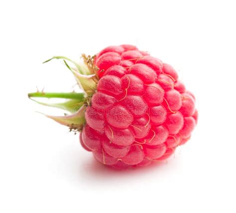 Raspberry Fruit Stock Photo Image Of Ripe Macro Food