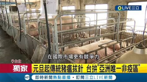 三立獨家 台灣豬肉進軍國際 商研院派員至菲日調研 明年傳統豬瘟拔針拚2025年外銷日本｜記者 曾佳萱 郭翊軒│【live大現場