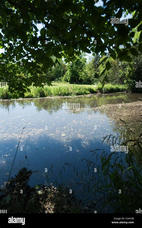 The River Wandle Meandering Through Shady Woodland At Morden Hall Park