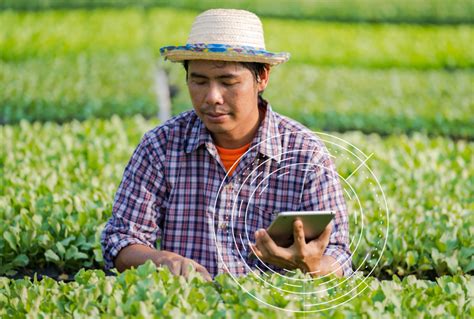 Agricultura sostenible software de gestión agrícola para reducir un