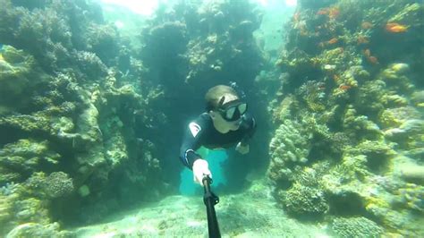 Freediving In Eilats Reef Youtube