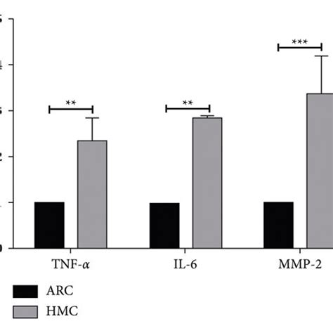 Comparison Of The Expressions Of Inflammatory Factors Tnf Il And