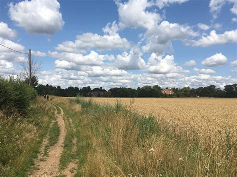 St Albans City & District Draft Local Plan – our initial review - CPRE