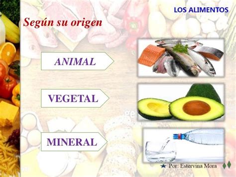 5 Ejemplos Alimentos De Origen Mineral Cara Promosi Bisnis Gratis