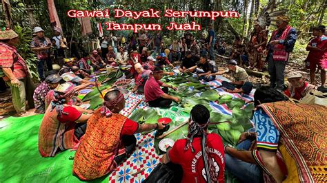 Gawai Dayak Serumpun Tampun Juah Kalimantan Asal Usul Suku Dayak