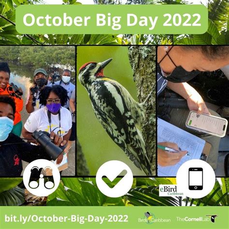 October Big Day 2022 A Global Birding Achievement Ebird