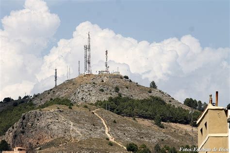 Presunto avistamiento de dos cachorros de león en el Cerro de las