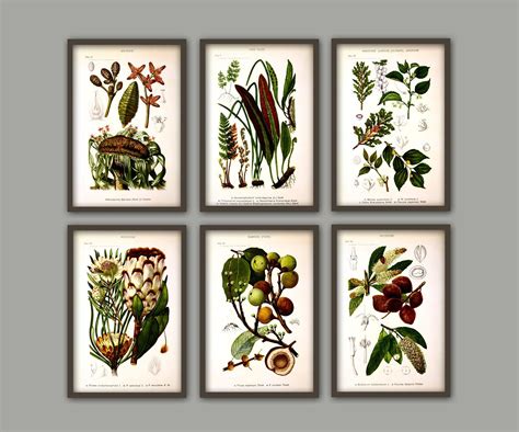 Botanical Wall Art Print Set Of Art Print Set Wall Art Prints